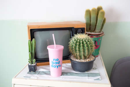 Cactus, television and Plastic glass backgroundの写真素材