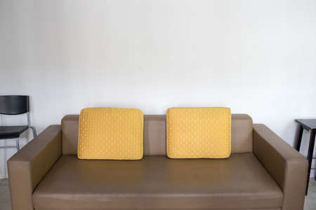 Front view of Brown leather sofaの写真素材