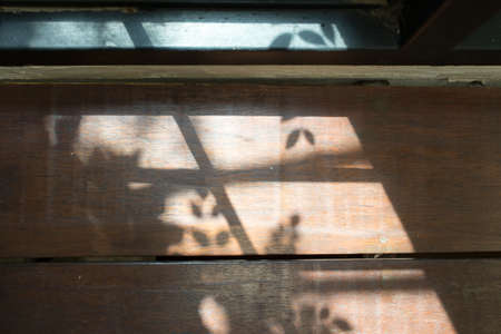 wooden table, top view, empty space for your work with light shadow from windowの写真素材