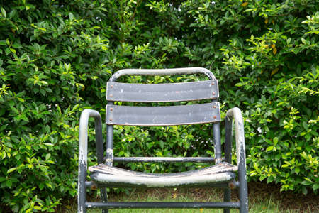 A single old steel chair in garden. alone and nobody.の写真素材