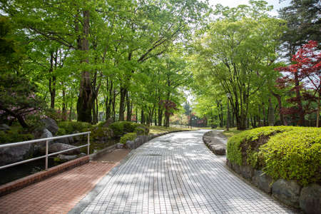 walkway with street lamp in garden, Japan.の写真素材
