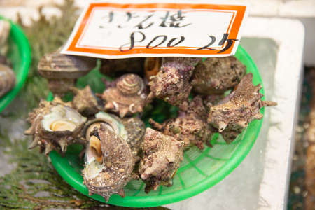 Fresh Japanese shellfish, Omicho Market.の写真素材