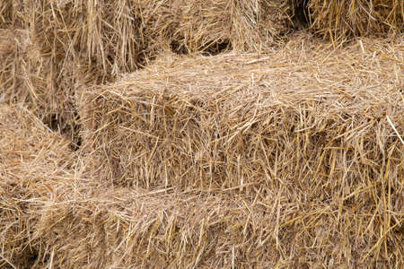 perspective view of a straw pile.の写真素材