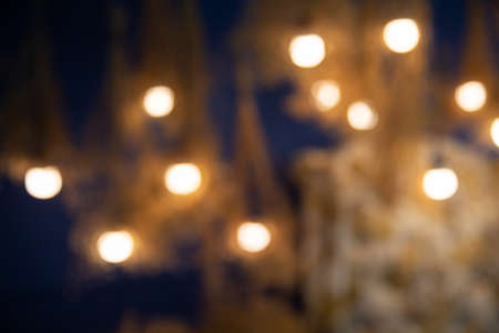 defocused of sofa, dry  flowers and light bulb hanging.の写真素材