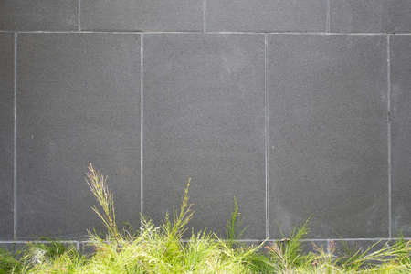 Green Grass and gray Wall background.の写真素材