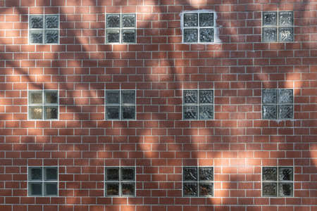 glass block and brick wall with shadow form tree.の写真素材