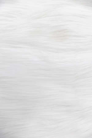 closeup of soft beige fluffy fur, wool, carpet texture background.