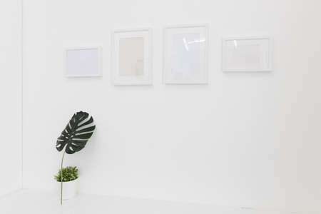 picture frame on white wall with small green leaves and plant pot.