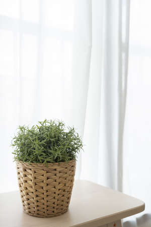 Rattan weave potted or basket plant on wooden brown chair with white transparent curtain and window background.の写真素材