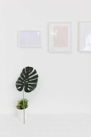 picture frame on white wall with small green leaves and plant pot.の写真素材