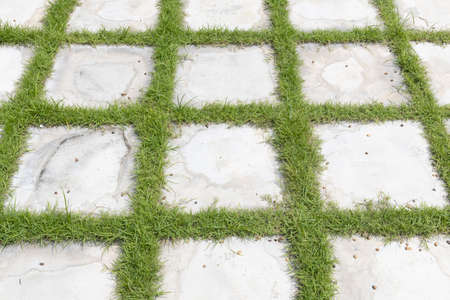 high angle view of square grid block concrete stone or marble tile walkway pavement floor with green grass in garden, Use for background and texture.の写真素材