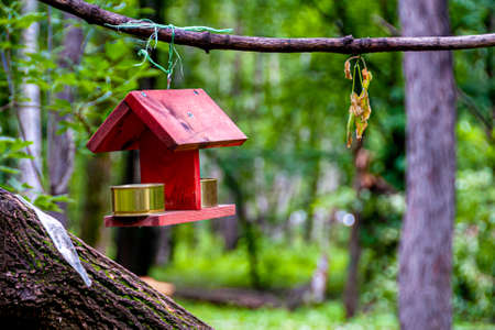 bird feeder, red,in summer on a sunny day, suspended from a branchの写真素材