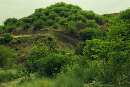 Beautiful landscape with green hills and trees on a cloudy day.の写真素材
