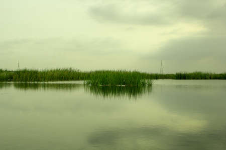 Lake with reeds in the middle of the water and the skyの写真素材