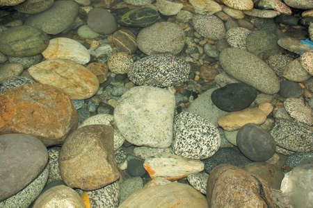 pebble on the shore of the lake, close-upの写真素材