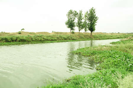 Landscape view of the river and the trees in the countryside.の写真素材
