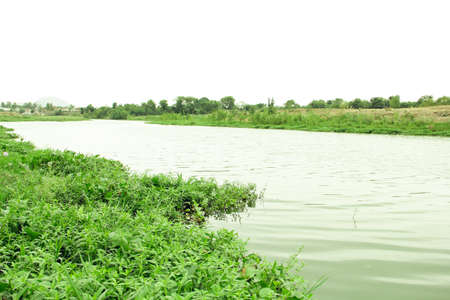 river in the middle of the field with green grass and blue skyの写真素材