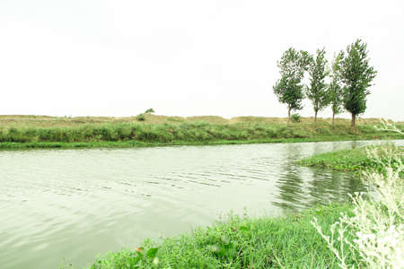 Landscape of river and trees in the field. Nature background.の写真素材
