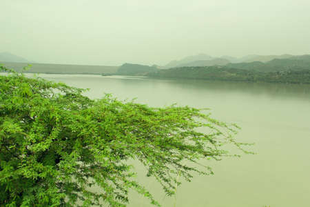 Lake and mountain in the mist with green tree in the foreground.の写真素材