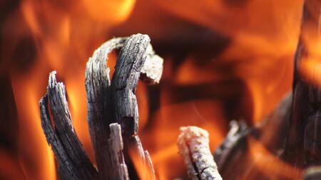 Burning Piece Of Wood In Fire Flames.