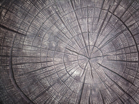 texture old wood の写真素材