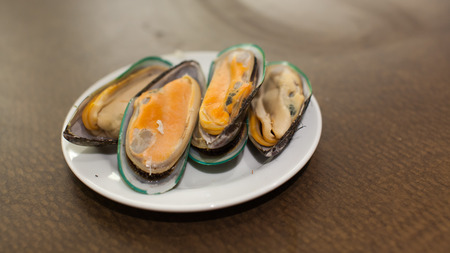 Group of fresh green shell musselsの写真素材