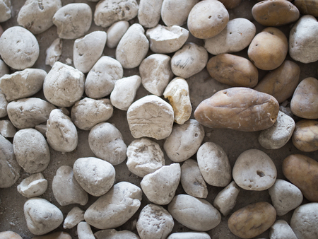 pebble white stone in background
