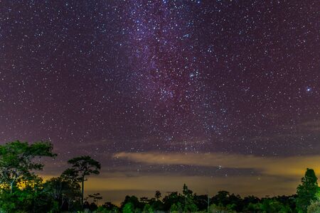 The Milky Way and some trees. In the mountains of Phukradung Thailandの写真素材