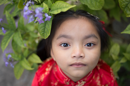 look up, Portrait of a Six year old little girl outdoor in a garden look upの写真素材