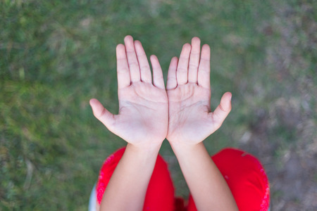 gesture, body parts and child concept - close up of little girl showing empty cupped handsの写真素材