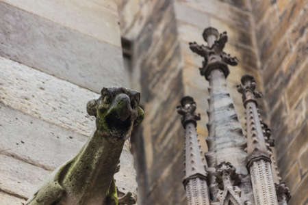 Gargoyle of Notre Dame de Paris