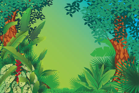 exotic tropical forestのイラスト素材
