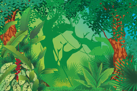 exotic tropical forestのイラスト素材