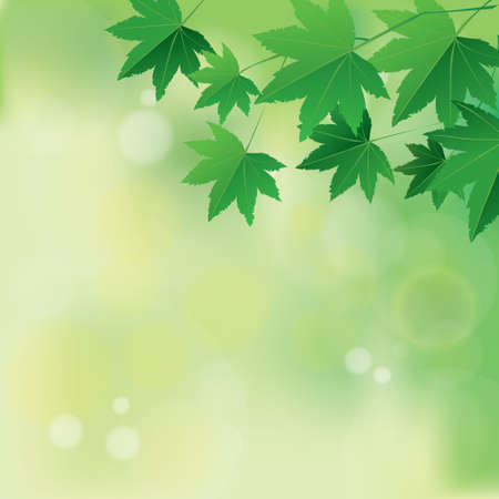 Vector illustration of maple leaves over blurry green pastel backgroundのイラスト素材