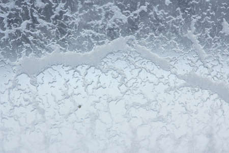 Macro photo of a biological Microworms Cultureの写真素材