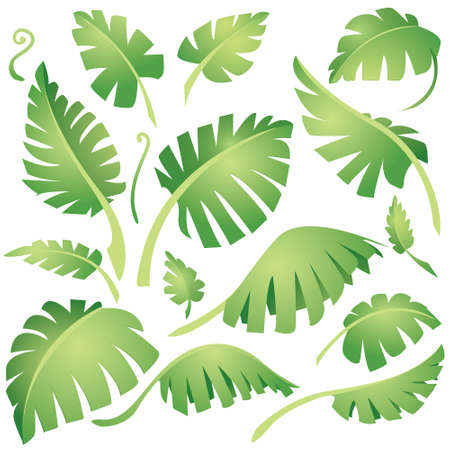 Vector illustration of exotic green leaves design element collection isolated on whiteのイラスト素材
