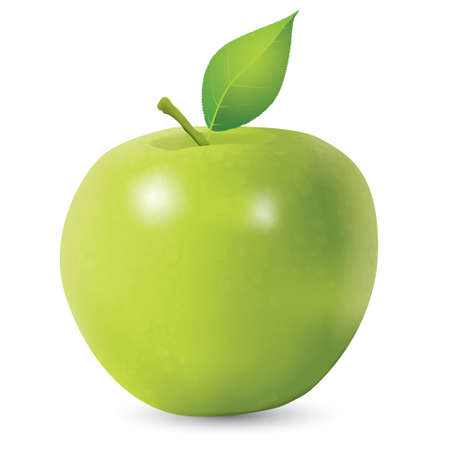 Vector illustration of fresh green apple with single leaf, realistic gradient mesh design, isolated on whiteのイラスト素材