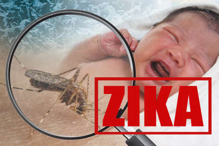 Health issue concept, image of crying baby bitten by Aedes Aegypti mosquito as Zika Virus carrierの写真素材