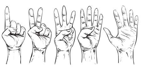 Set of hand gestures showing numbers icon.のイラスト素材