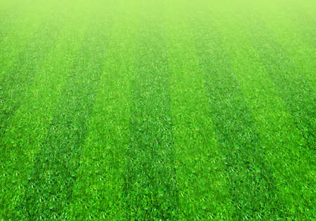 Striped soccer football grass field texture, background with copy space