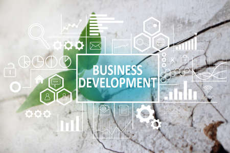 Business concept. Business development words on blurred natural background. Text typography design