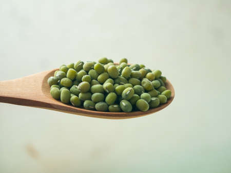 Fresh raw food, Mung Beans also known as green moong, Kacang Hijau, Vigna Radiataの写真素材