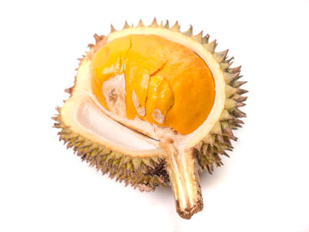 Durian Lai, Durio Kutejensis, yellow durian of Borneo Kalimantan also known as pulu, nyakak, pekan, pampakin or pekawai, native fruit of Malaysia and Indonesiaの写真素材