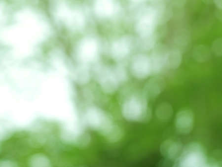 Beautiful bokeh of defocused blurred green trees. Natural out of focus image for backgroundの写真素材