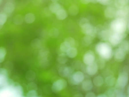 Beautiful bokeh of defocused blurred green trees. Natural out of focus image for backgroundの写真素材
