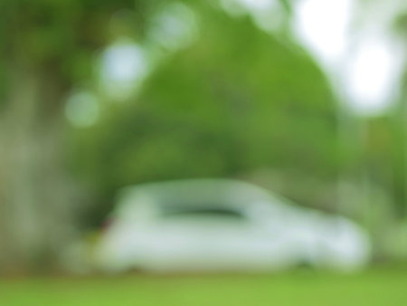 Beautiful bokeh of defocused blurred green trees. Natural out of focus image for backgroundの写真素材