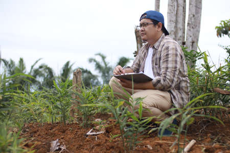 Successful Asian male farmer supervise his ginger plants cultivation. Organic farmingの写真素材