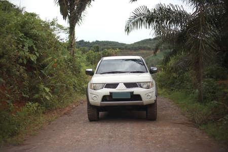 White pickup truck runing on dirty soil road track in the midle of palm oil plantationa
