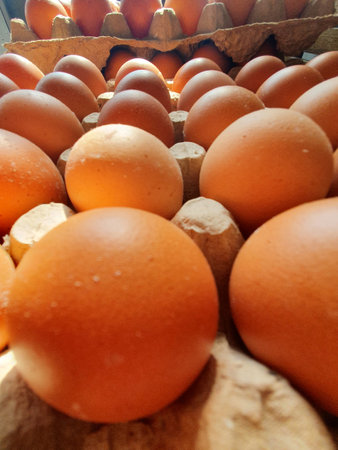 Freshly harvested chicken eggs from farm, egg stock in carton