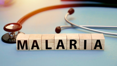 Malaria, text words typography written on wooden letter, health and medical conceptの写真素材